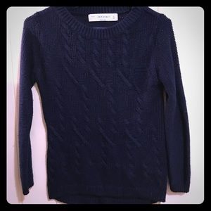 Navy blue Zara Knit sweater